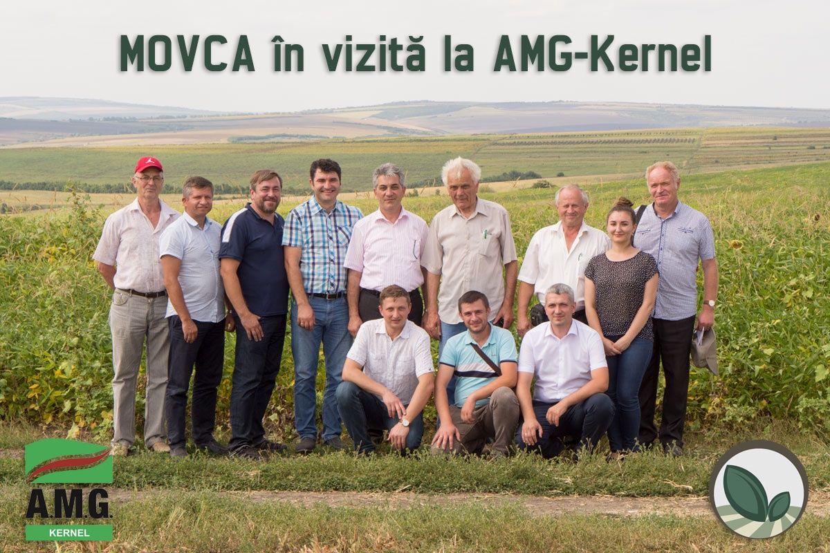 MOVCA la AMG-Kernel
