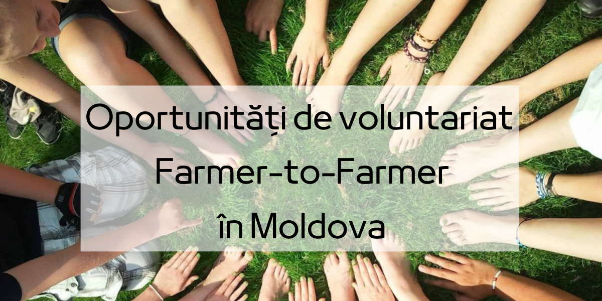 Oportunități de voluntariat cu programul Farmer-to-Farmer: recrutarea voluntarilor din Moldova